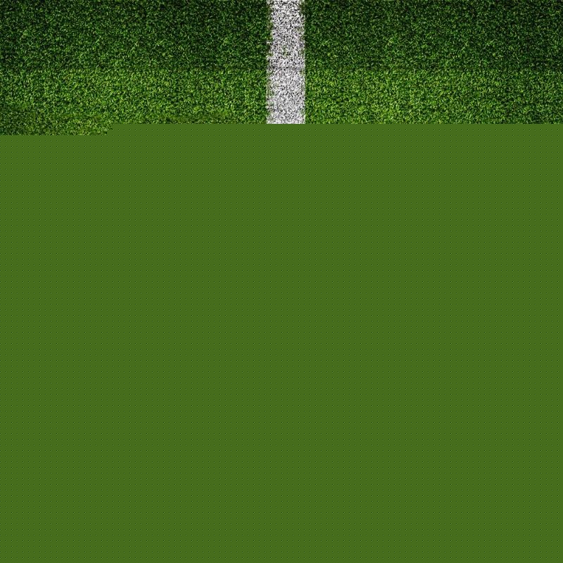 展望未来 展望未来