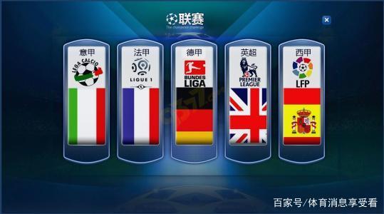 球迷的支持 球迷的支持