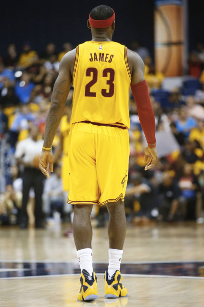 若再引入老 若再引入老